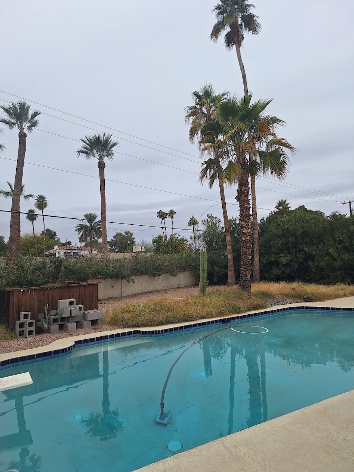 Ripple Pool Service project