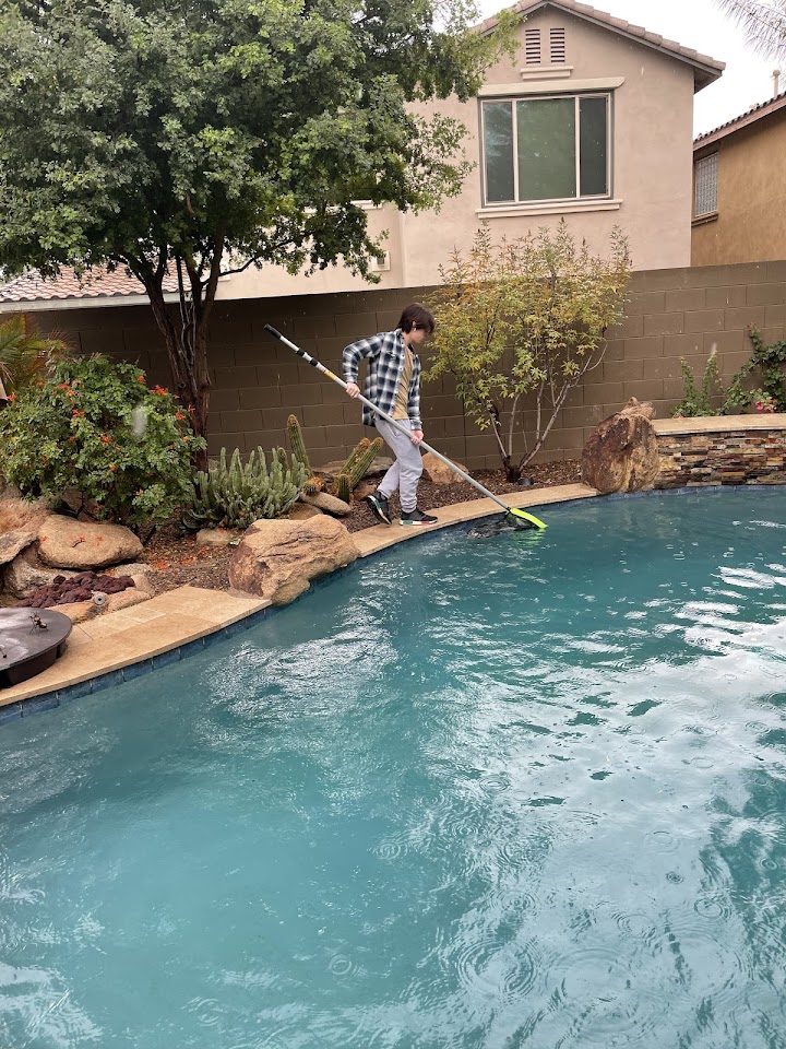 Ripple Pool Service project